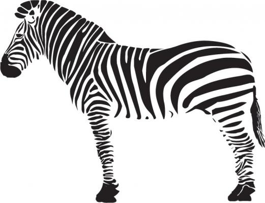 zebre - http://www.galerie-com.com/oeuvre/zebre/7430/